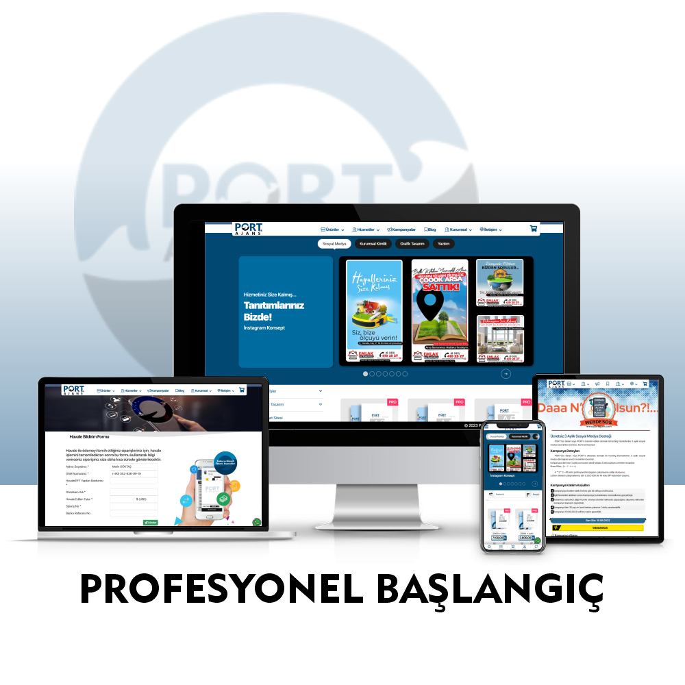 Profesyonel Web Başlangıç